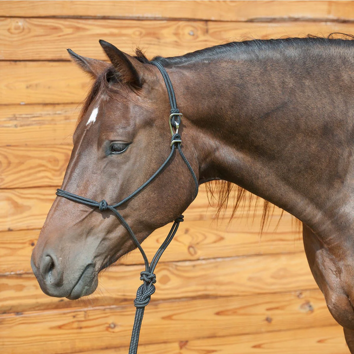 Classic Equine Adjustable Rope Halter with Lead Rope, Black - Healthber