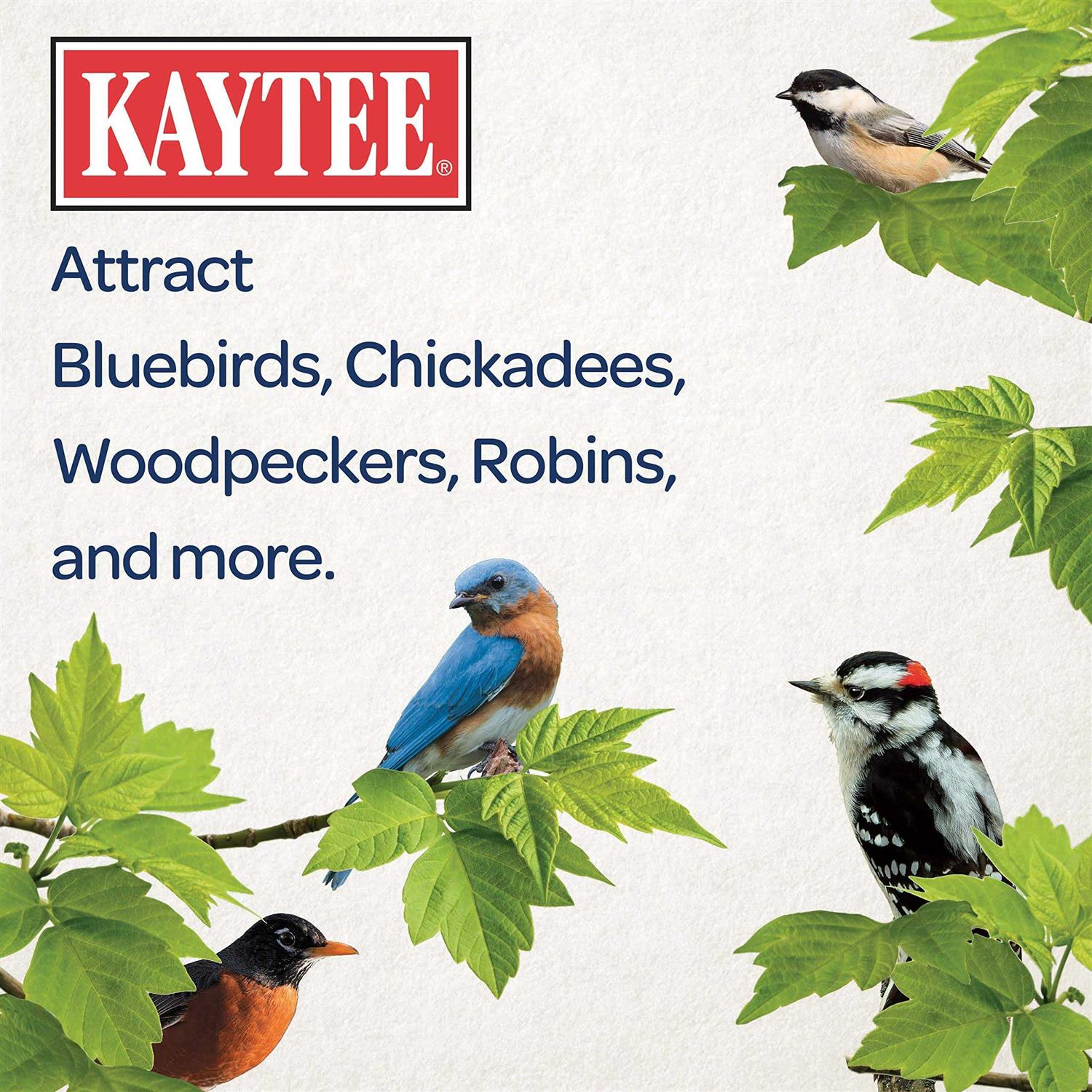 Kaytee Woodpecker Seed Cake - Healthber