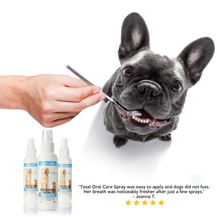 VetSmart Formulas Dog Breath Freshener Eliminate Bad Breath and Prevent Oral Disease in Dogs and Cats - Healthber