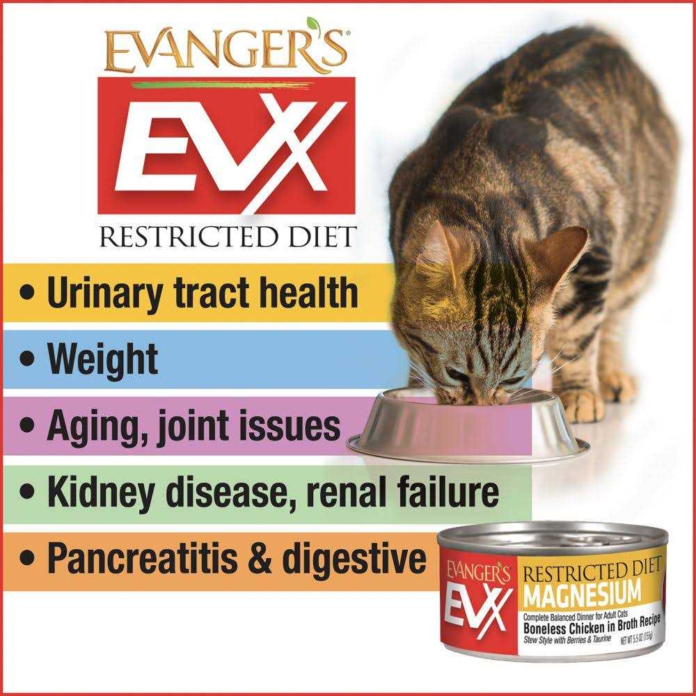 Evangers Beef Tips with Gravy Canned Cat Food - Healthber