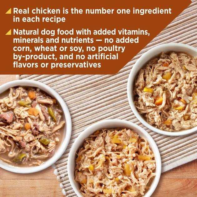 Nature’s Recipe Grain Free Wet Dog Food - Healthber