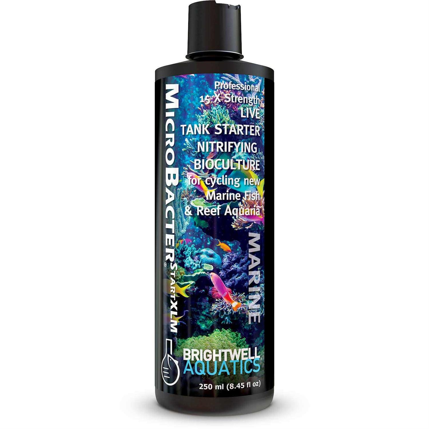Brightwell Aquatics MicroBacter Start XLM - Healthber