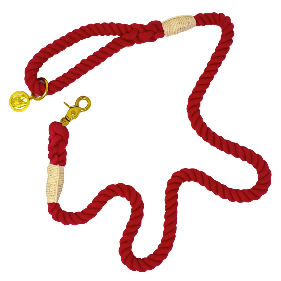 Pink Papyrus Rope Leash, 6ft - Healthber