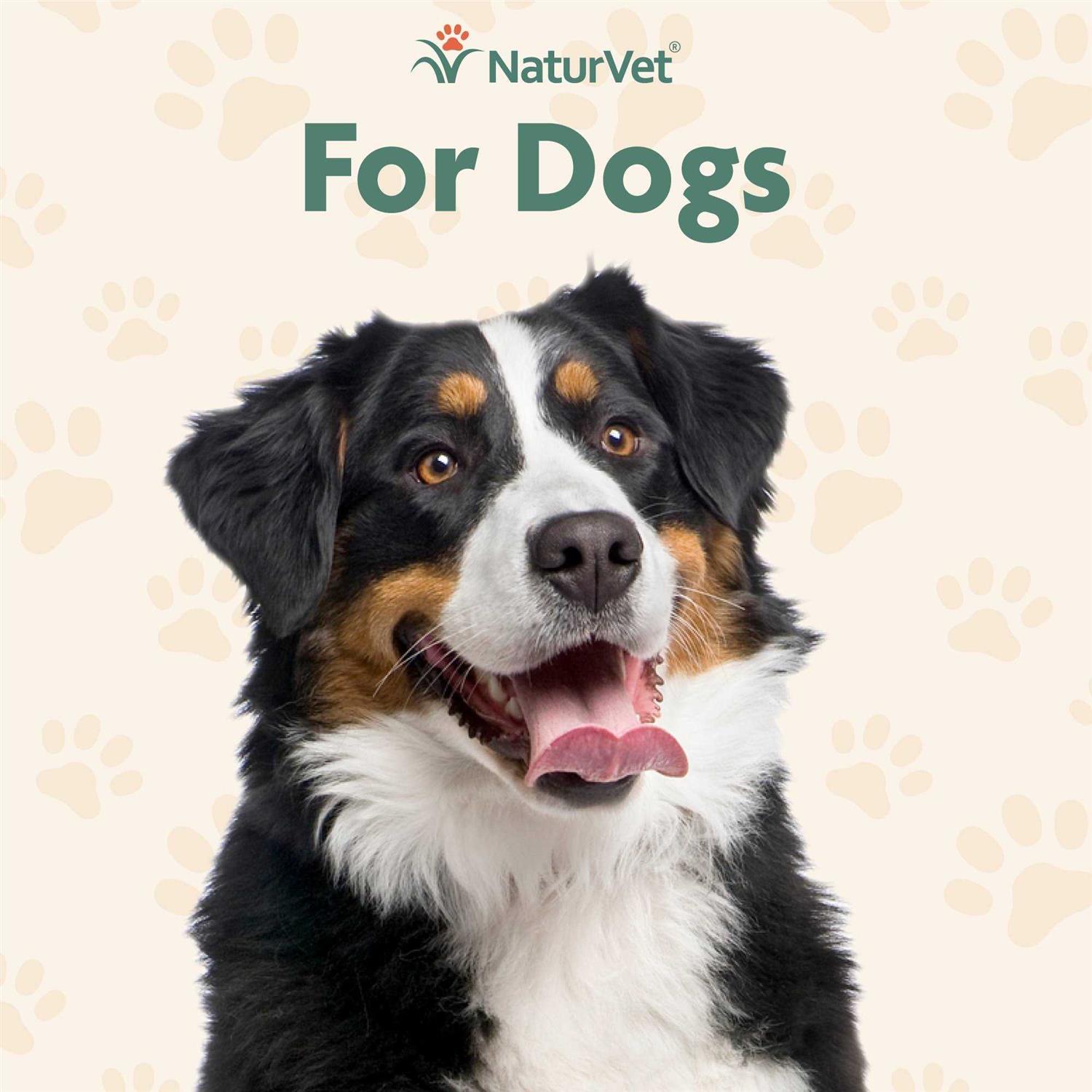NaturVet Off Limits Training Spray - Healthber
