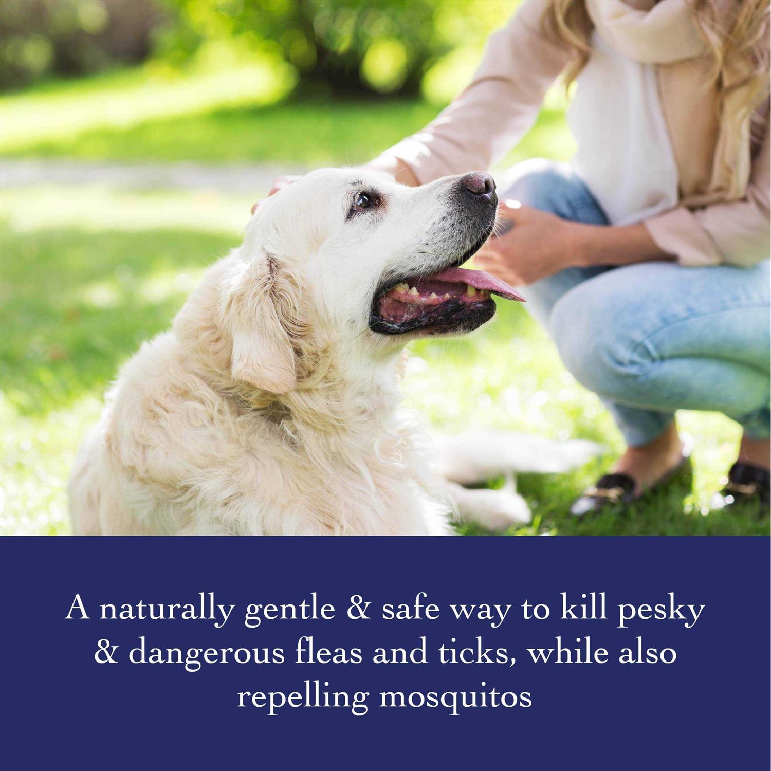 Richard’s Organics Flea & Tick Shampoo - Healthber