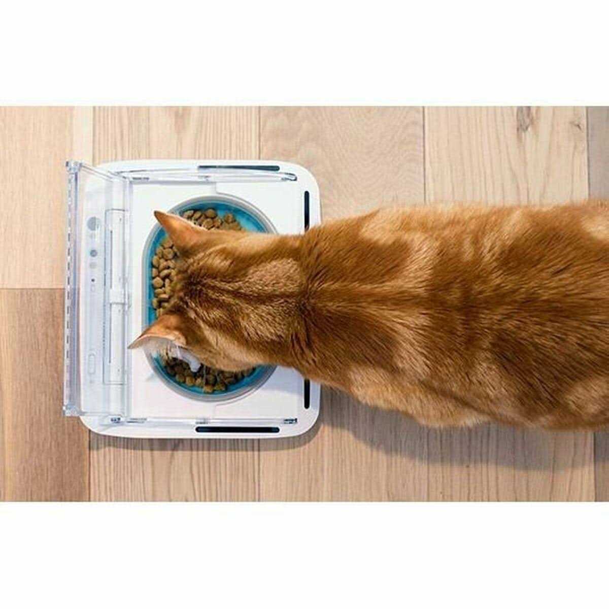 Sure Petcare Surefeed Sealed Pet Bowl - Healthber