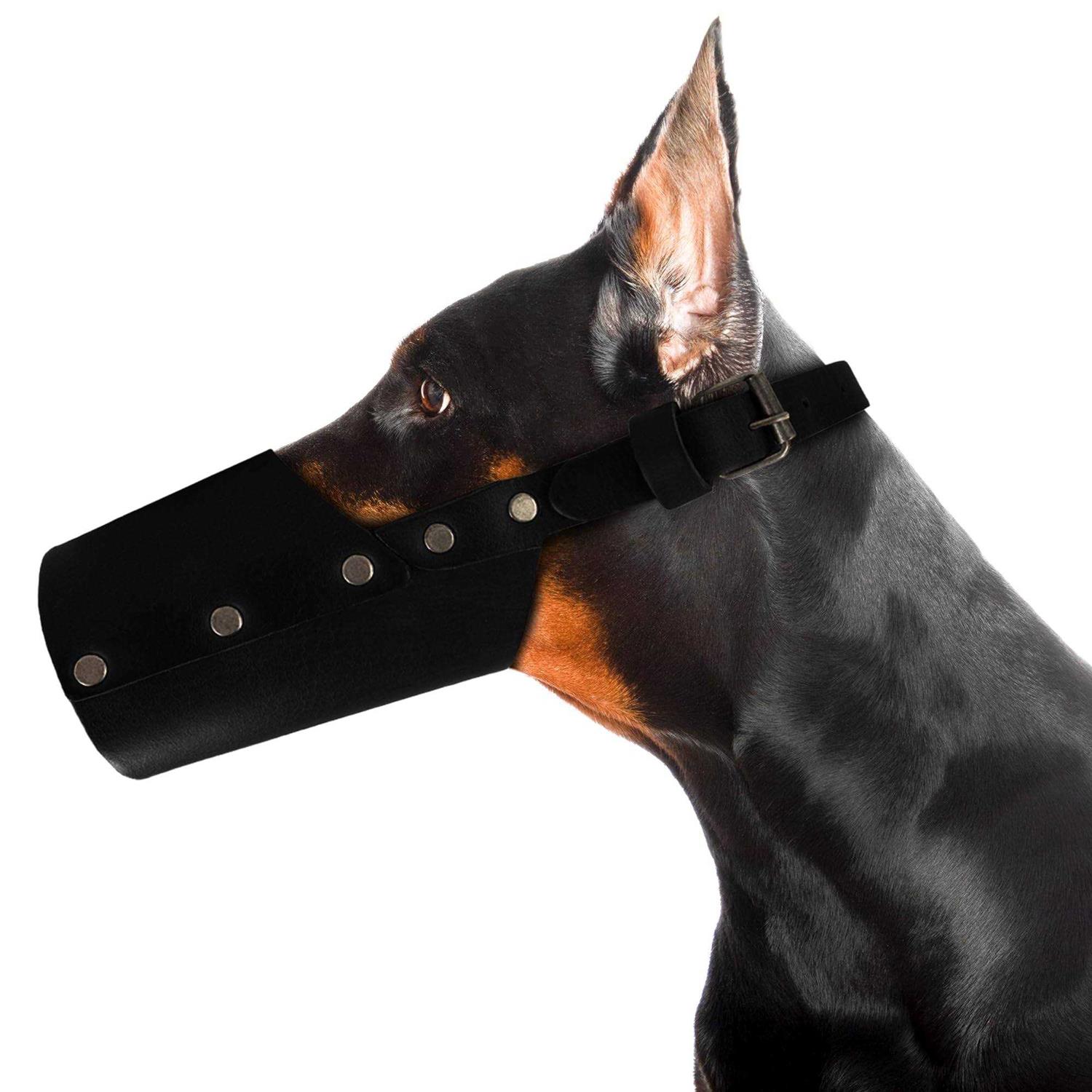 Hide & Drink Dog Muzzle Guard Secure Prevents Biting Chewing - Healthber