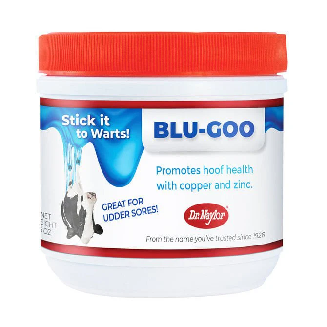 Dr. Naylor Blu-Goo, 16 oz - Healthber