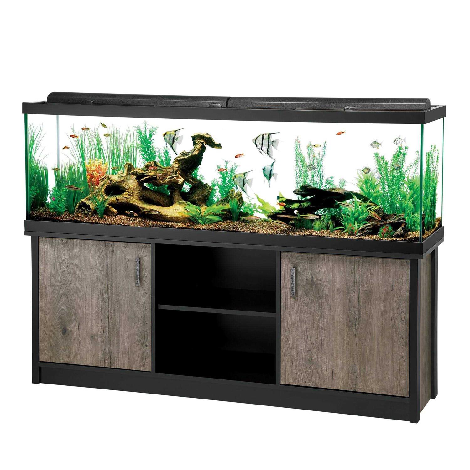 Aqueon LED Aquarium & Stand Ensemble -allon - Healthber