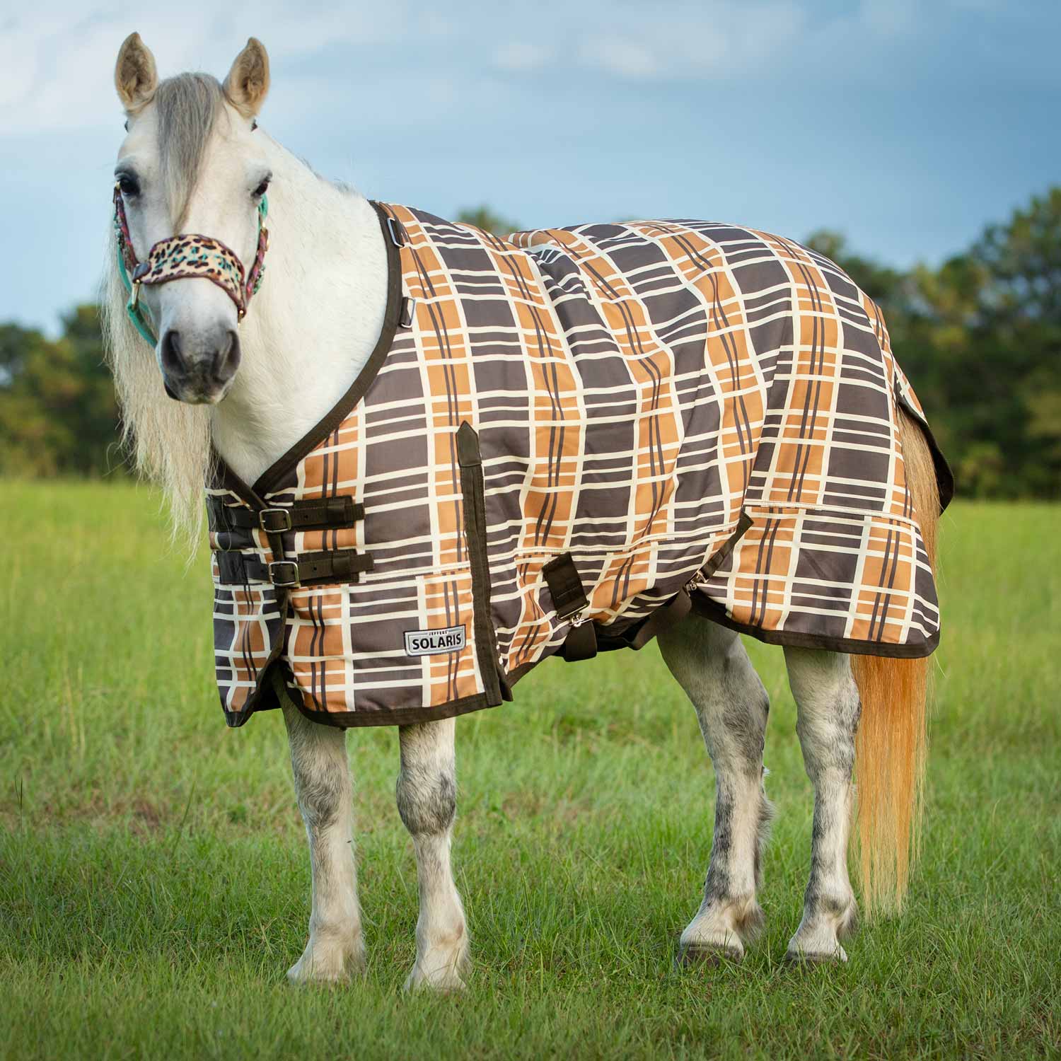 Pony Poppins Solaris Pony Horse Turnout Blanket, Brown & Cream Plaid - Healthber