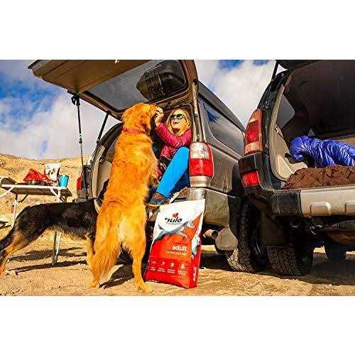 Nulo Frontrunner Turkey Dry Dog Food - Healthber