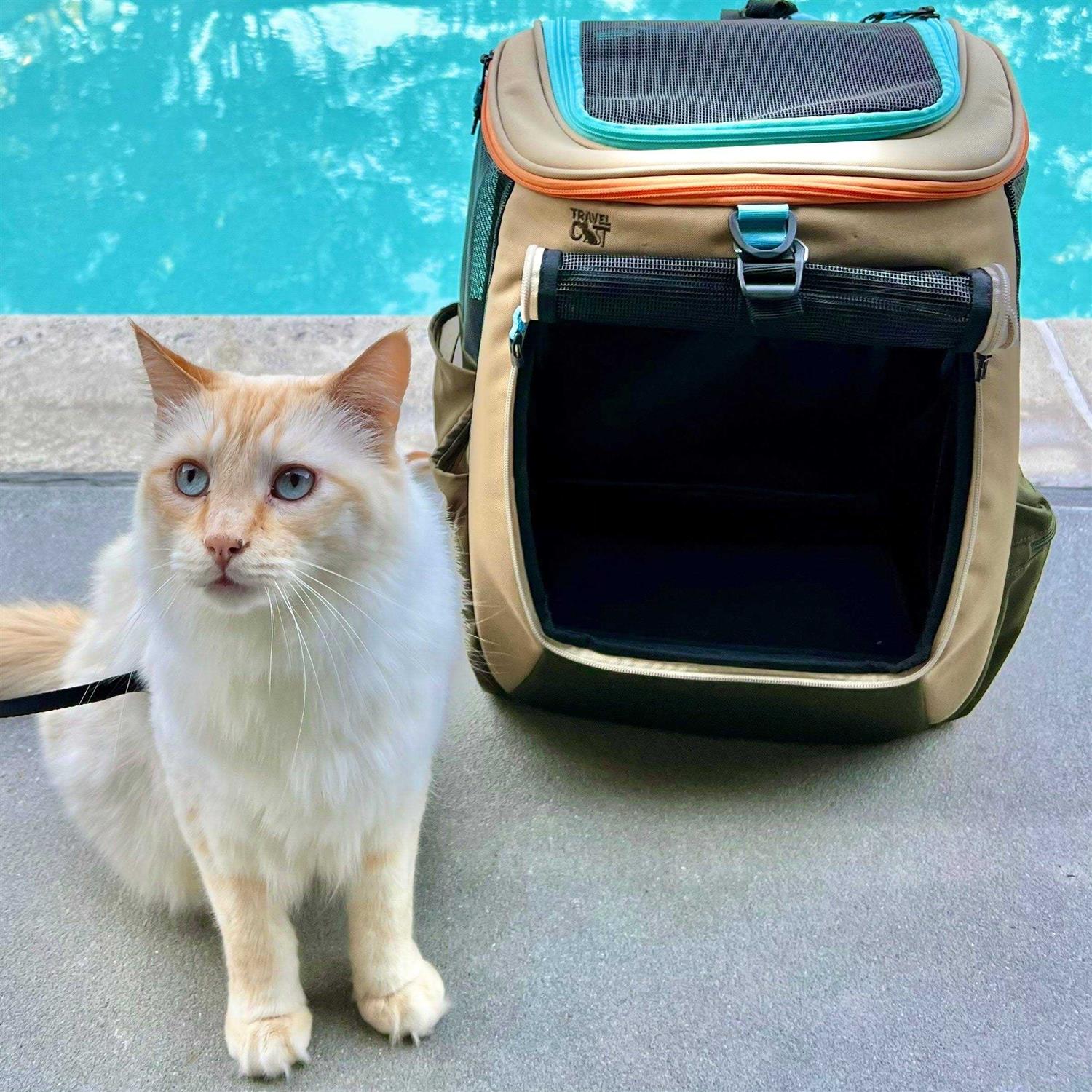 Your Cat Backpack The Navigator Earth Convertible Cat Backpack For Adventurous Cats and Humans - Healthber