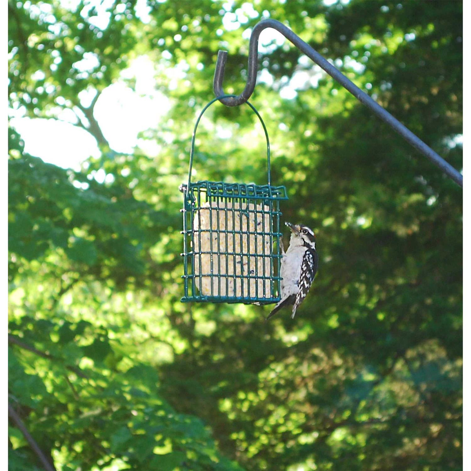 Wildlife Sciences High Energy Suet Cake 10 Pack - Healthber