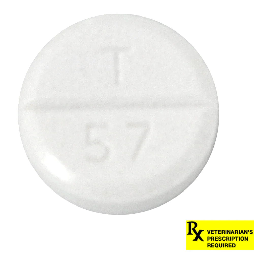 Rx Ketoconazole (Generic) Tablets for Dogs & Cats - Healthber