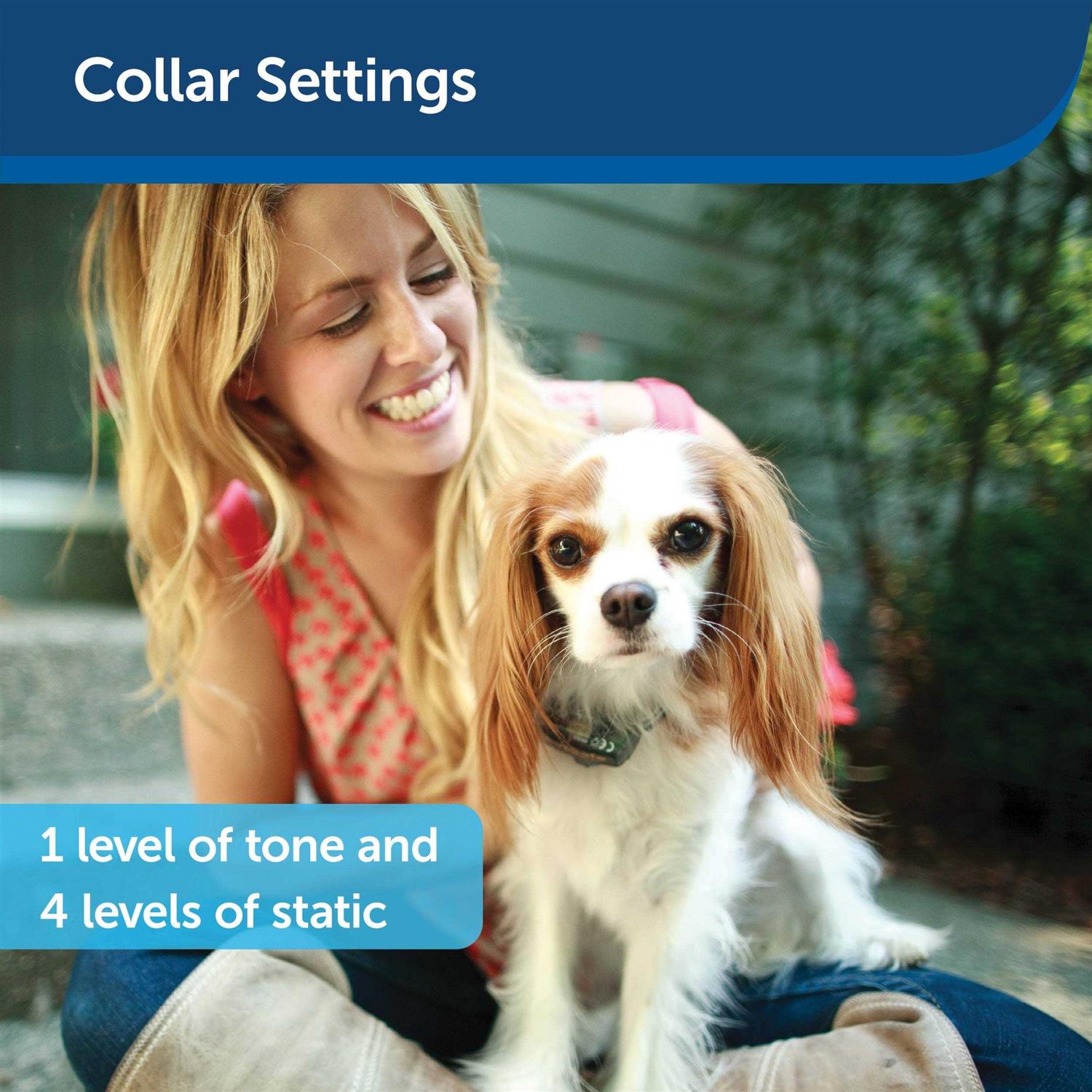 PetSafe Elite Little Dog In-Ground Fence Collar Receiver - Healthber