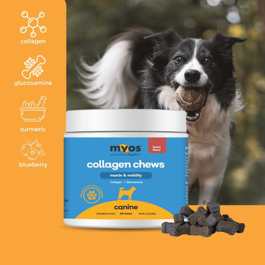 MYOS Muscle & Mobility Collagen Chew for Dogs - Healthber