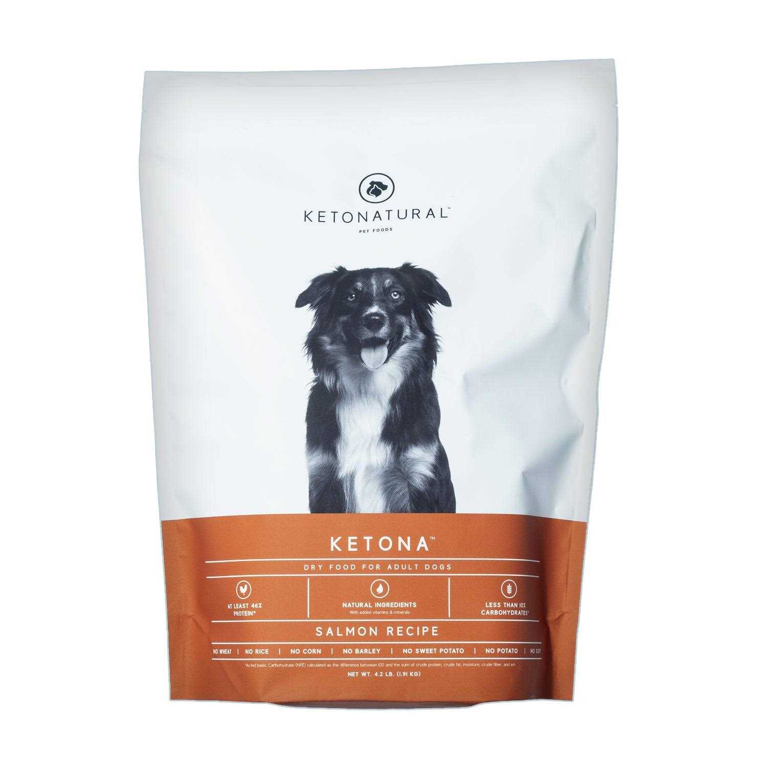 Ketona Salmon Recipe Adult Dry Dog Food Natural Low Carb High Protein - Healthber