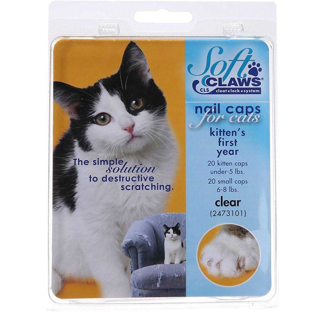 Soft Claws Nail Caps for Cats - Healthber