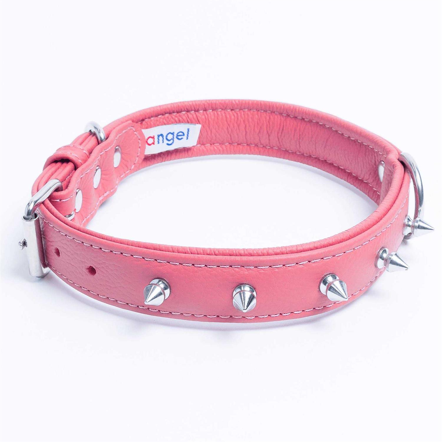 Rotterdam Dog Collar Spiked - Healthber