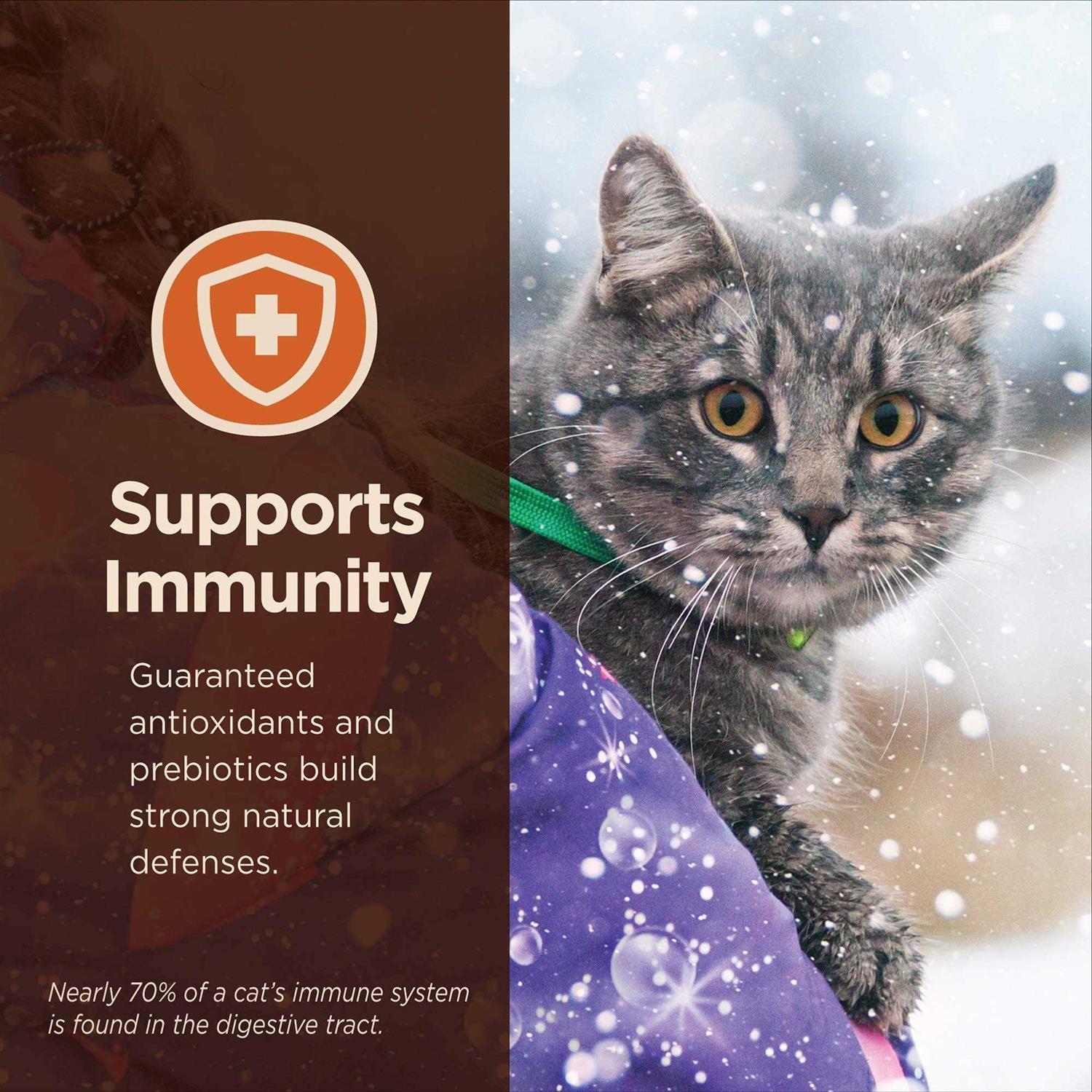 Wellness CORE Digestive Health Salmon & Whitefish Pate Variety Pack Wet Cat Food - Healthber