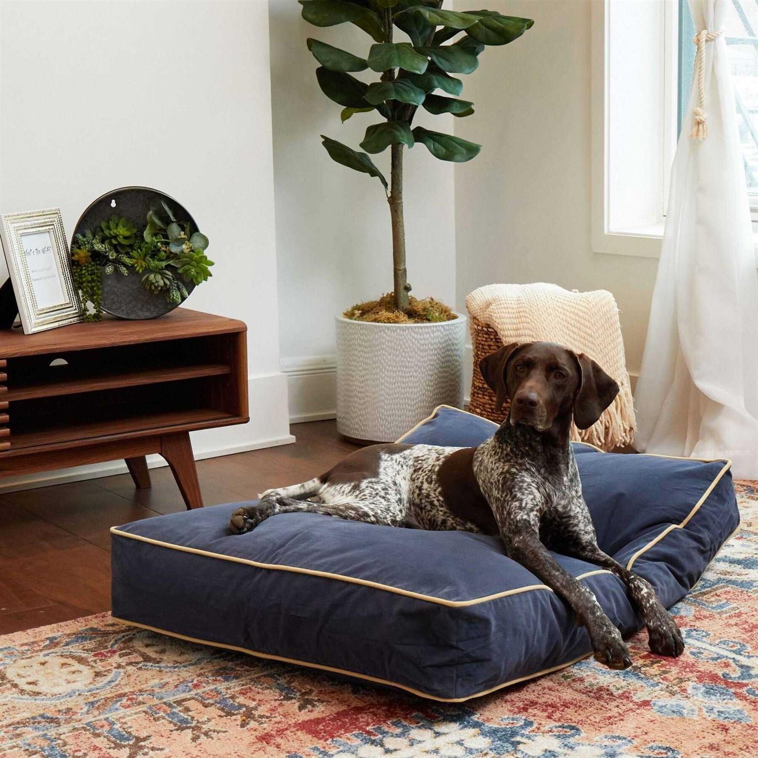 Happy Hounds Bailey Rectangle Pillow Dog Bed w/ Removable COVER - Healthber