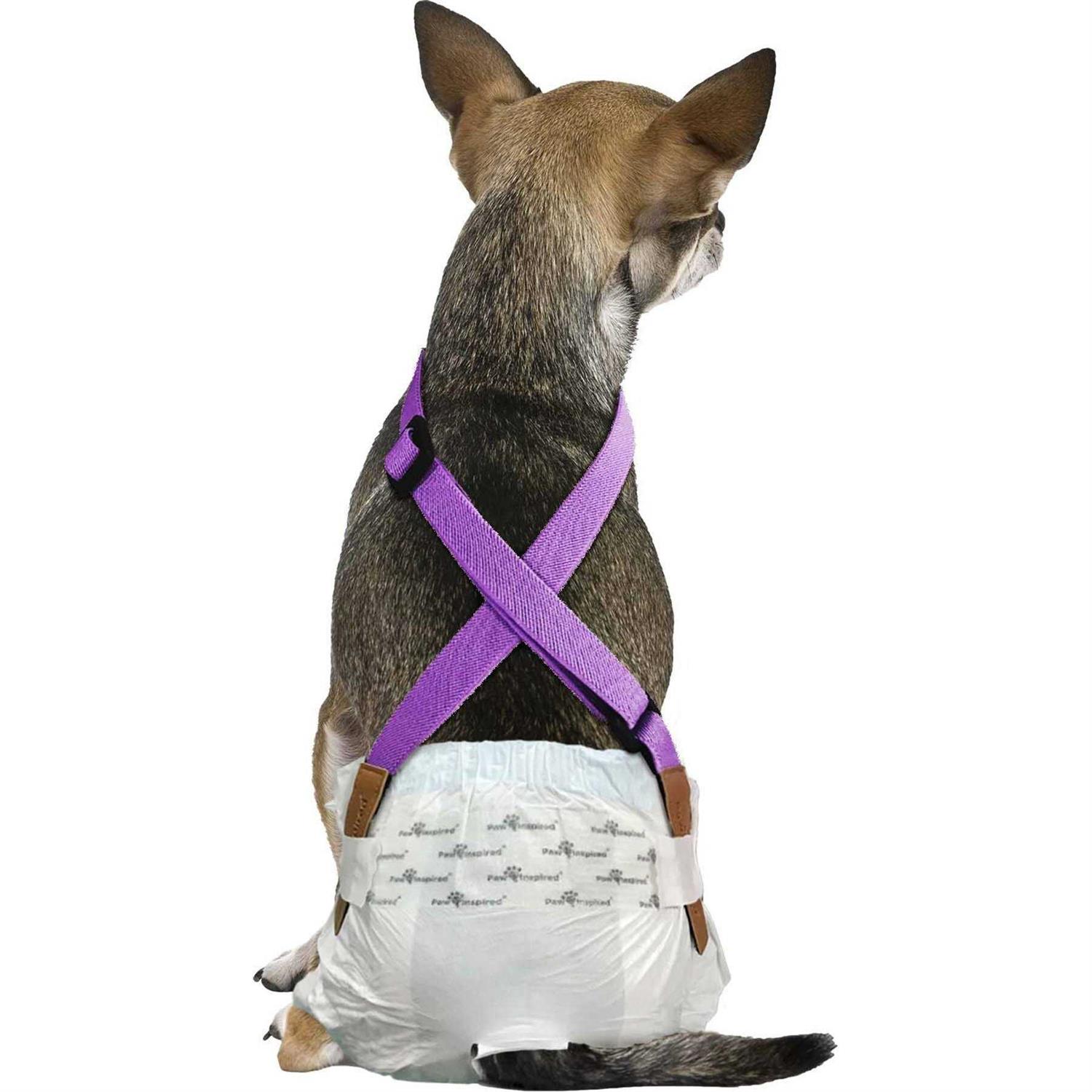 Paw Inspired Dog Diaper Suspenders - Healthber