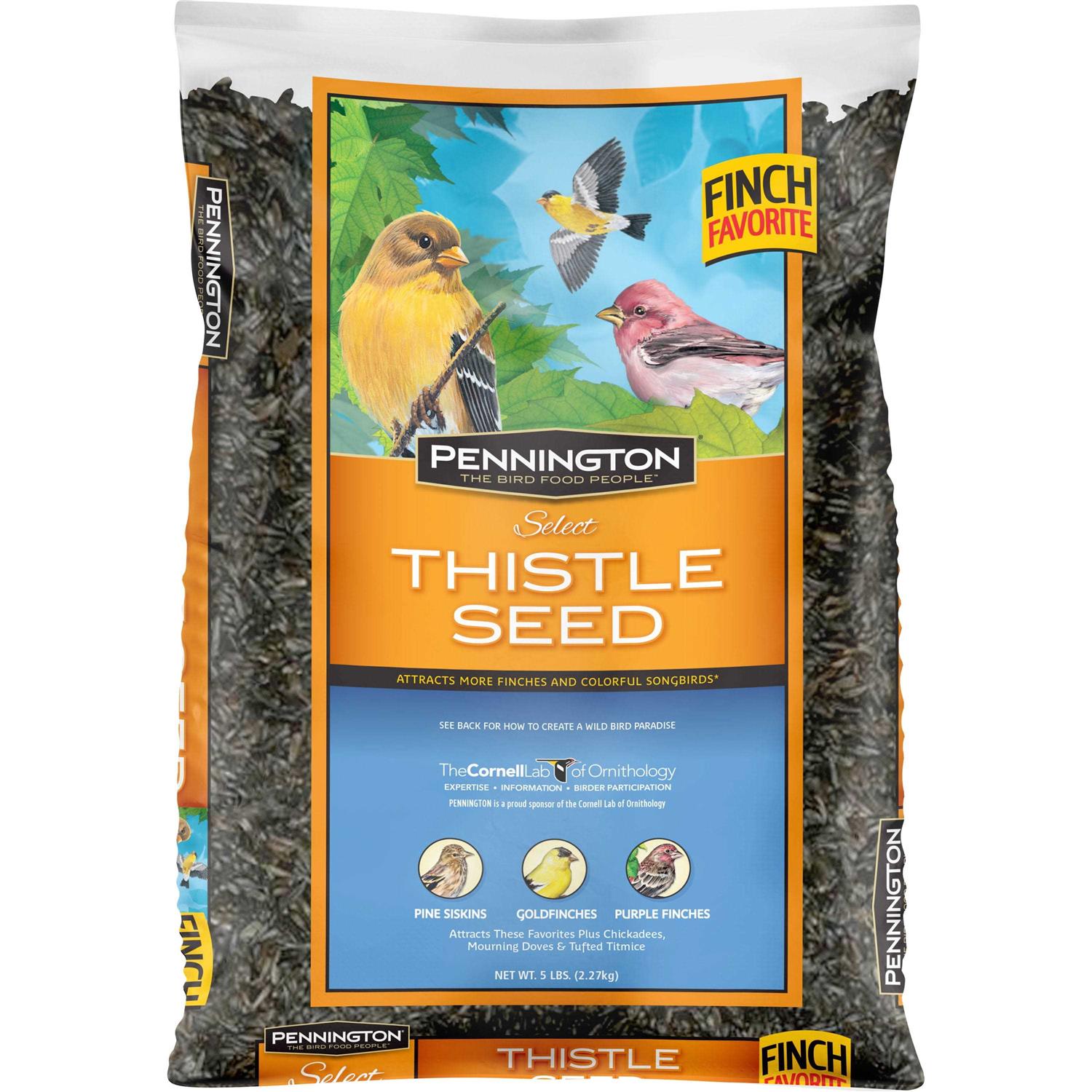Pennington Select Thistle Seed - Healthber