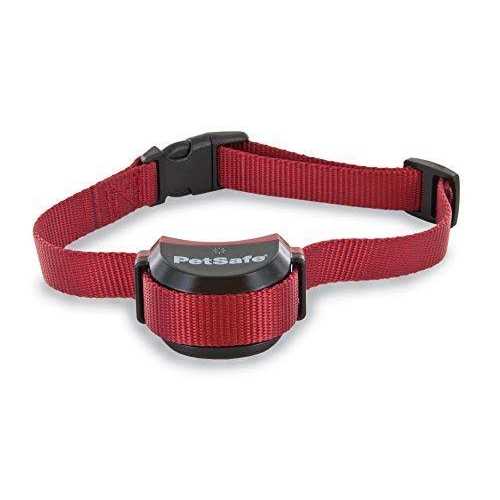 PetSafe Stubborn Dog Stay & Play Wireless Fence Receiver Collar - Healthber