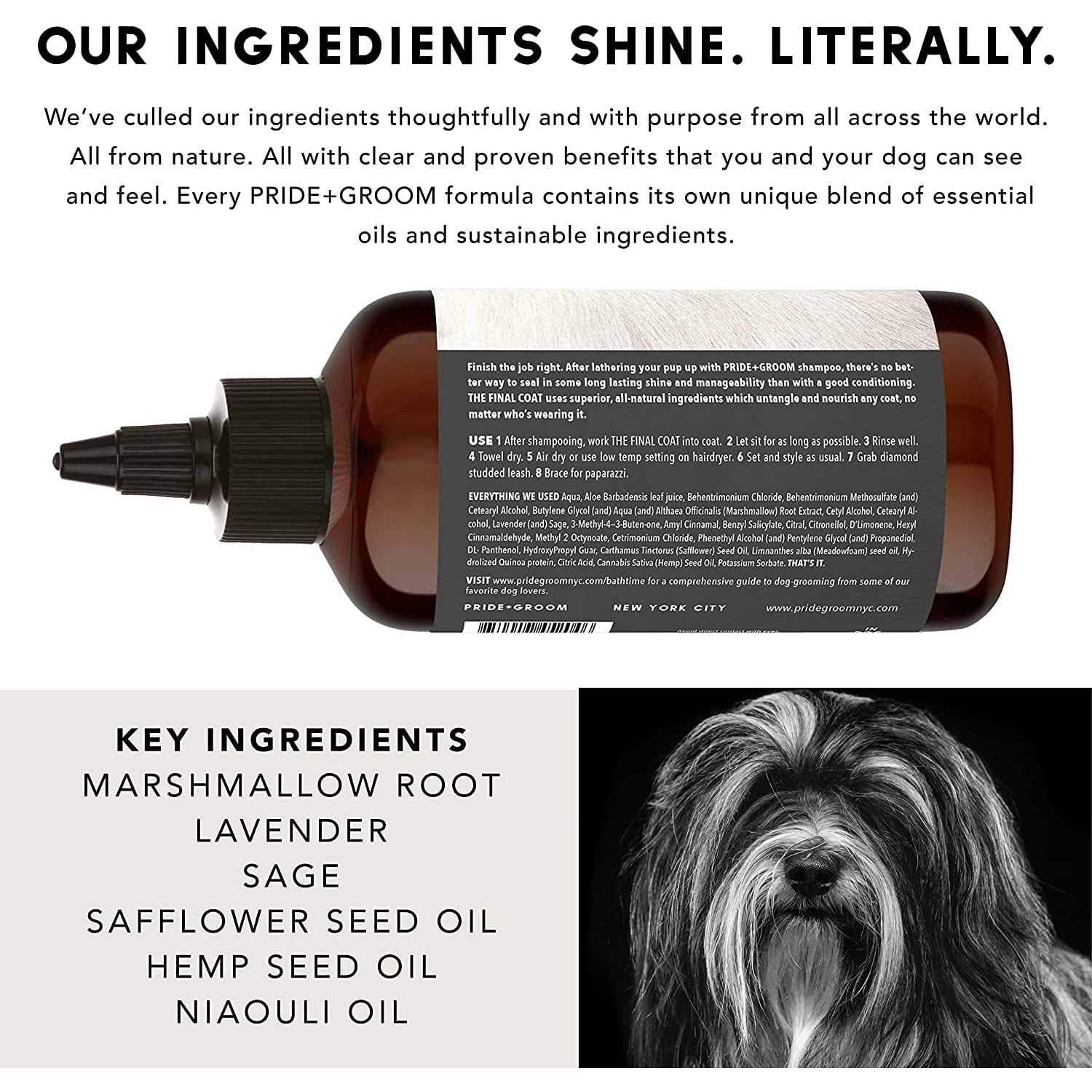 Pride and Groom Dog Conditioner for Shedders - Healthber