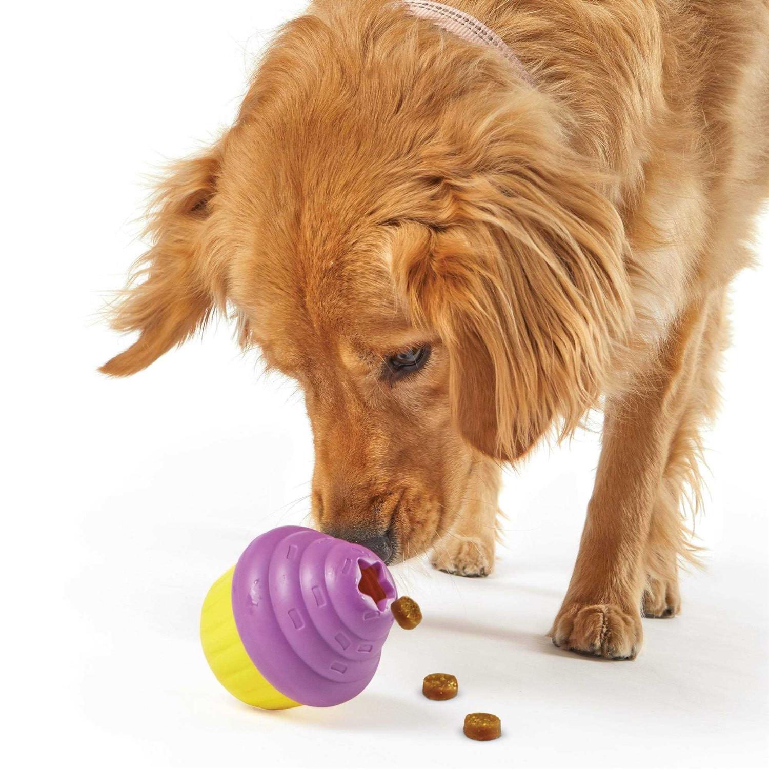Brightkins Cupcake Dog Treat Dispenser - Healthber