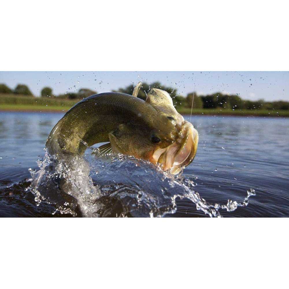 Purina Game Fish Chow - Healthber