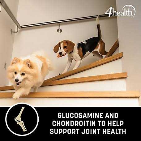 4health Wholesome Grains Adult Lamb and Rice Formula Dry Dog Food - Healthber