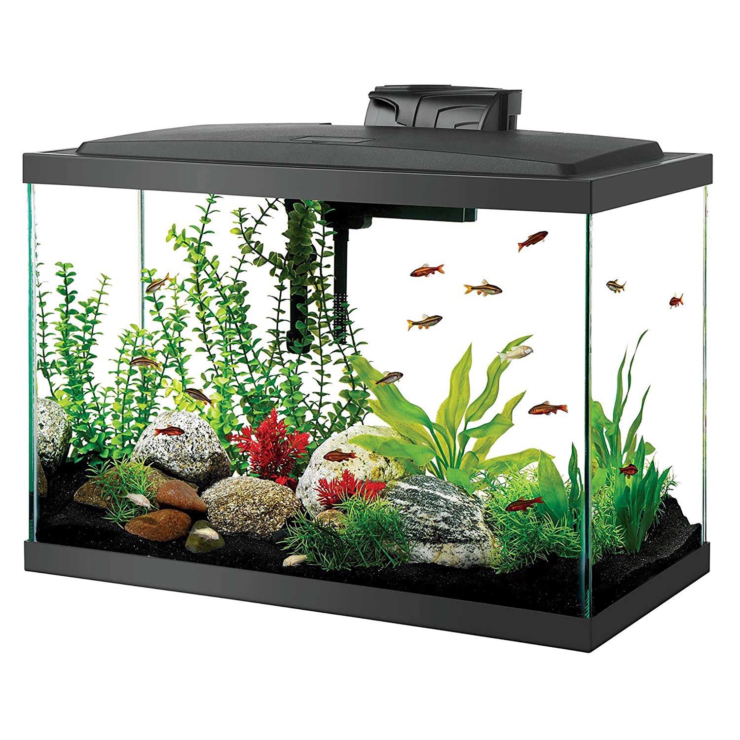 Aqueon 20 Gallon LED Aquarium Kit - Healthber