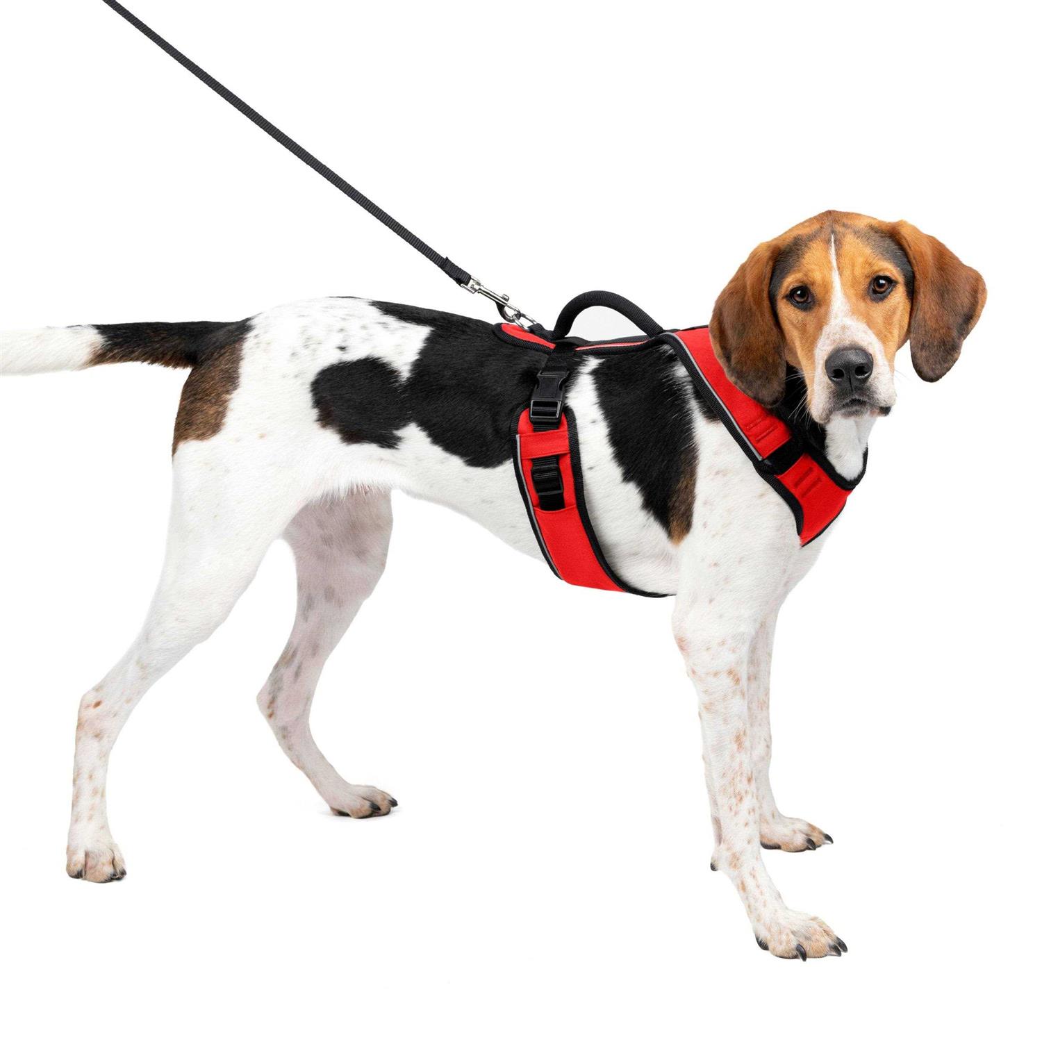 PetSafe EasySport Dog Harness - Healthber