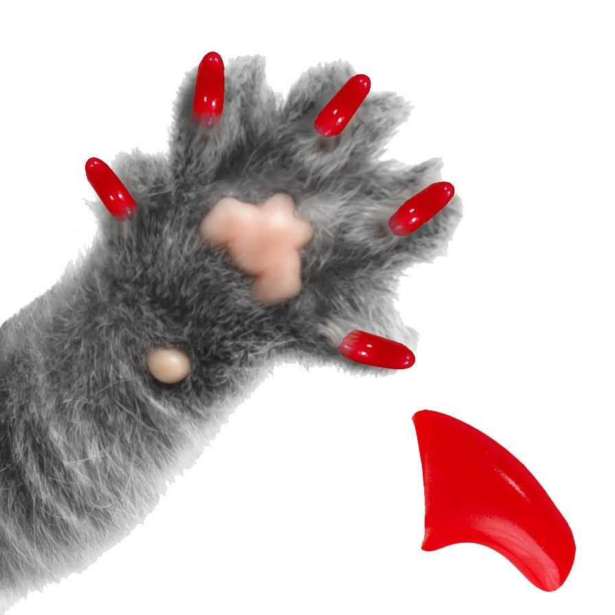 Soft Nail Caps for Cats Pretty Claws - Healthber