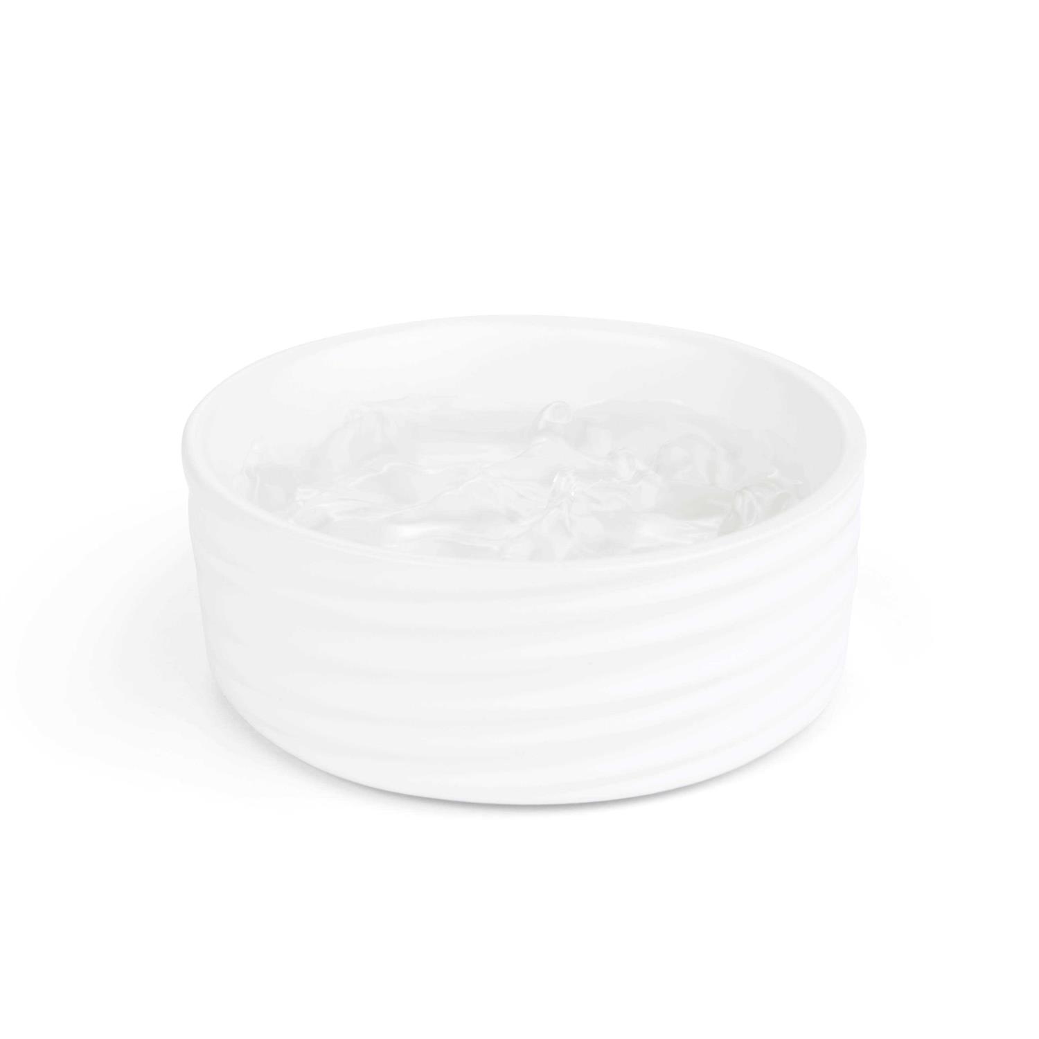 EveryYay Ceramic Wave Dog Bowl - Healthber
