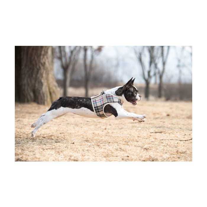 Puppia Junior Harness B - Healthber