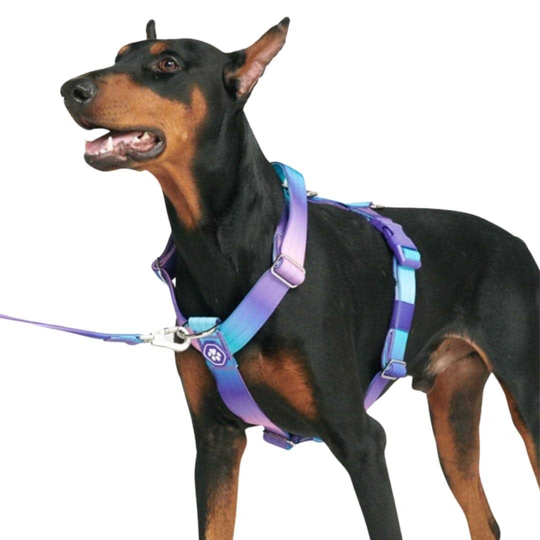 Spark Paws No-Pull Dog Harness Designed for Safety and Control - Healthber