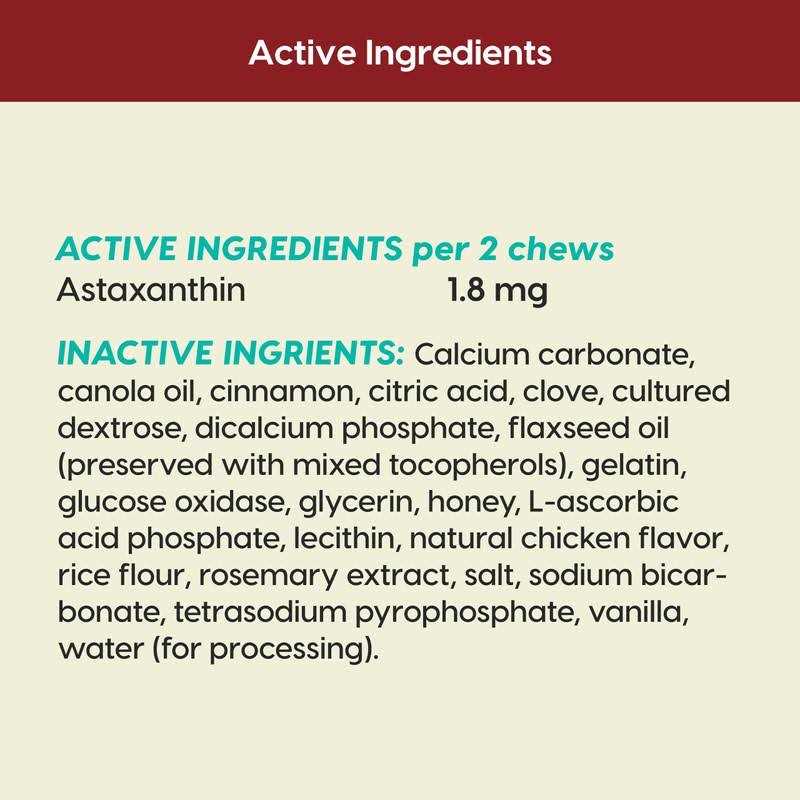 Ark Naturals Protection+ Brushless Toothpaste Fortified Dental Dog Chews - Healthber