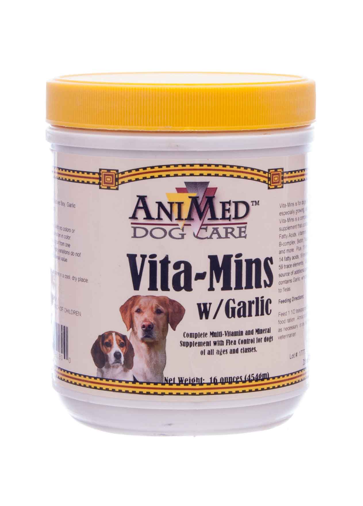 VitaMins with Garlic - Healthber