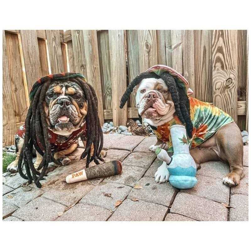 Nestpark Doggy Doobie Funny Dog Toys Plush Squeaky Dog Toys for Medium, Small and Large - Healthber