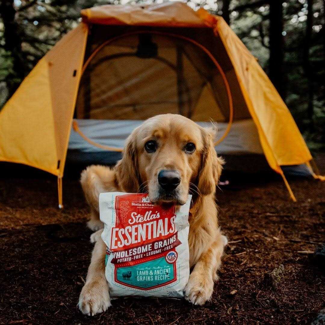 Stella & Chewy’s Essentials Ancient Grains Recipe Dog Food - Healthber