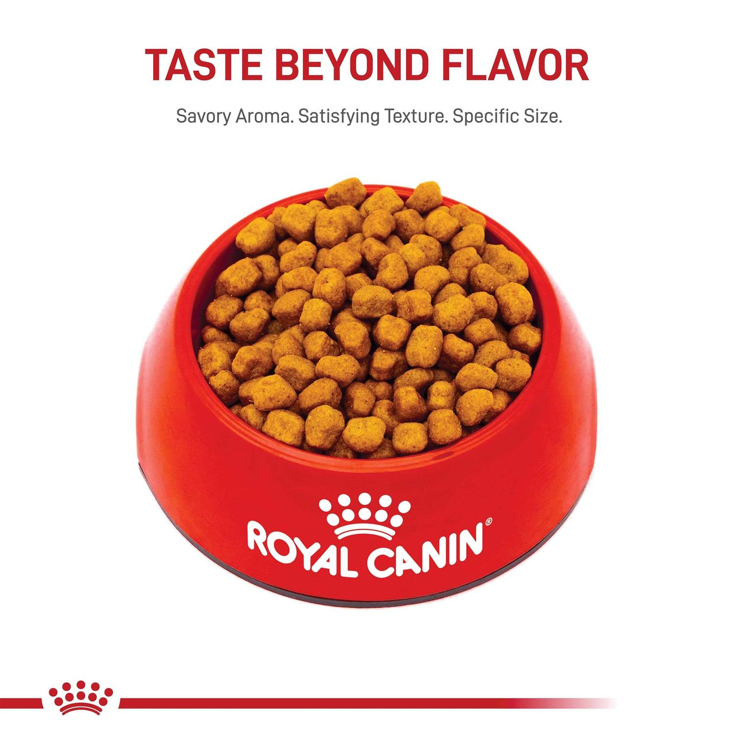 Royal Canin Breed Shih Tzu Adult Dry Dog Food - Healthber