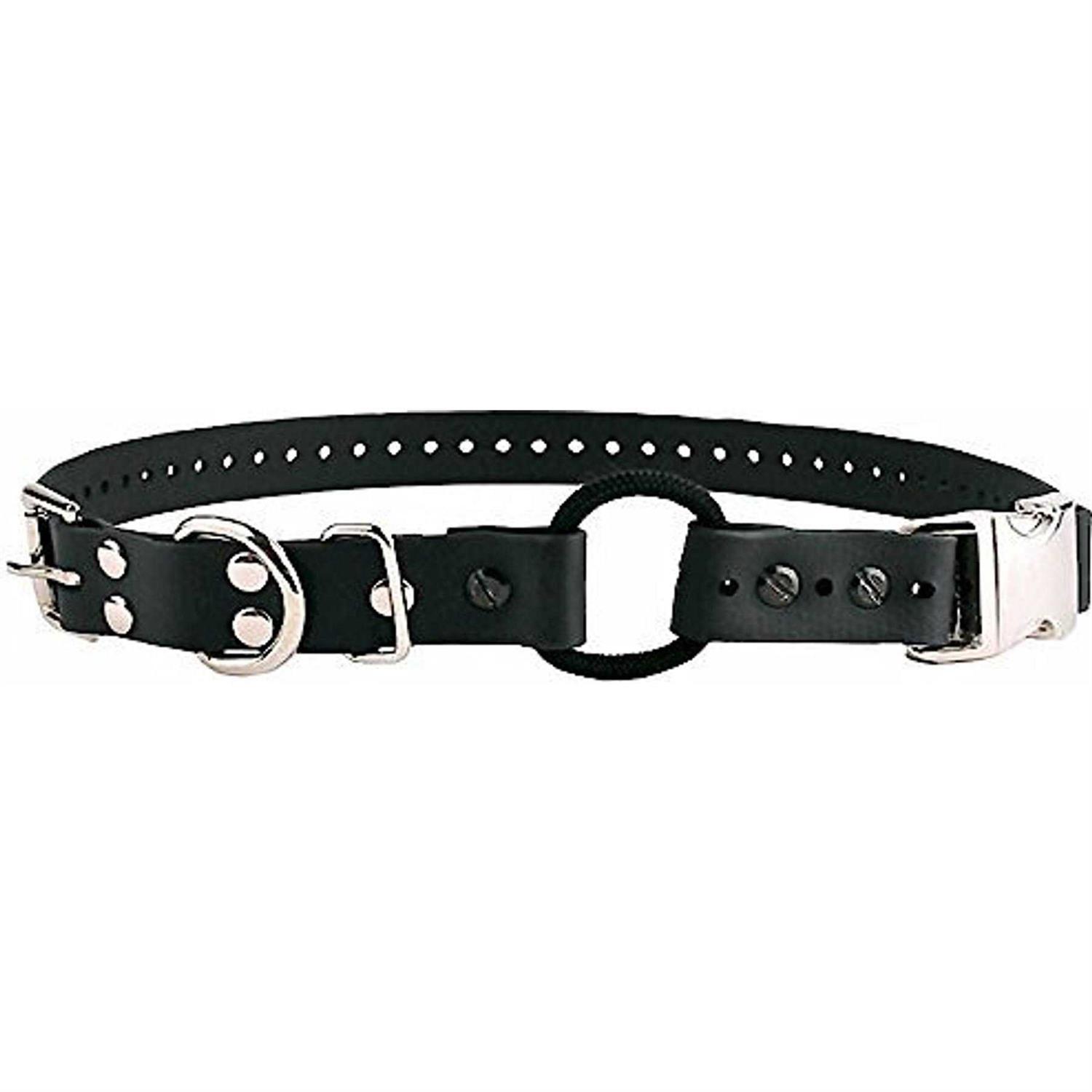 Educator Quick Snap Bungee Collar - Healthber