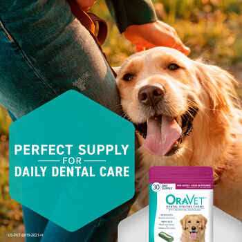 Oravet Dental Hygiene Chews Dogs - Healthber