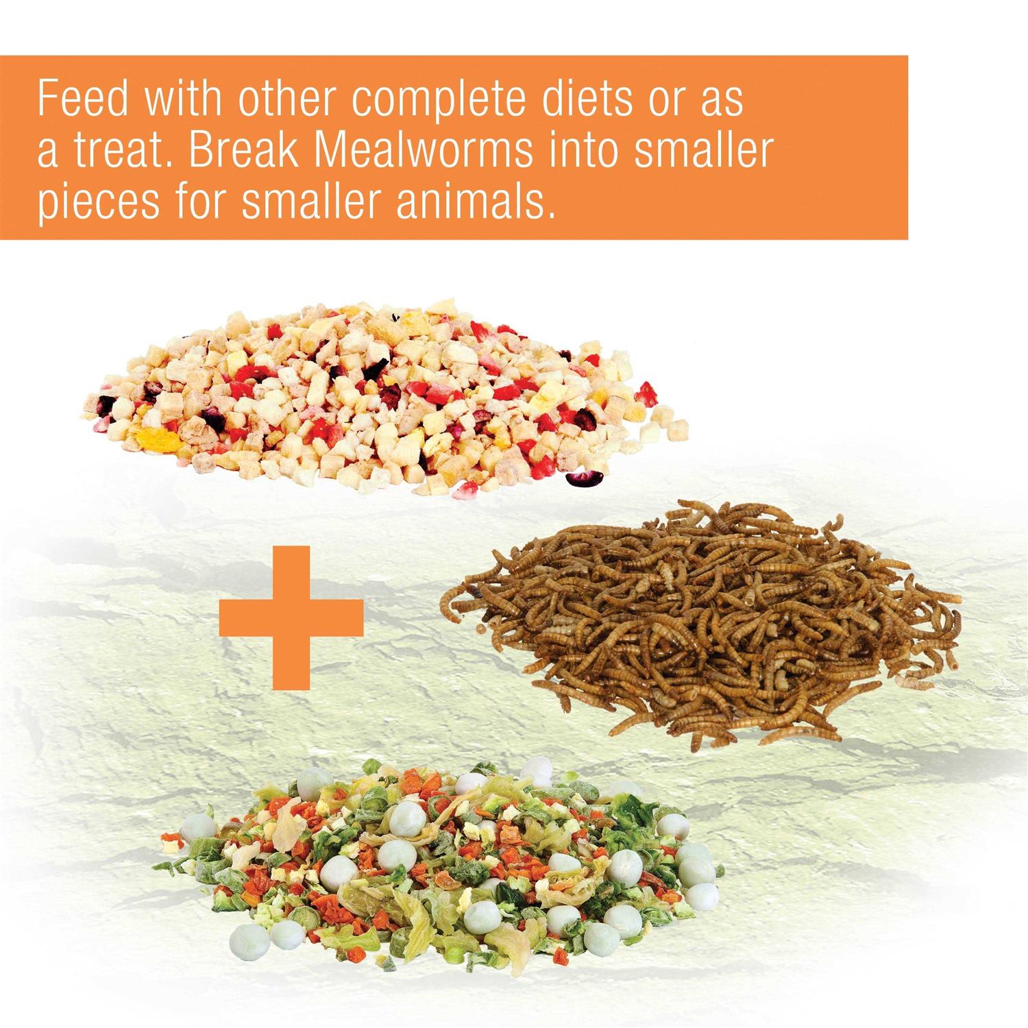 Zilla Munchies Mealworms Reptile - Healthber