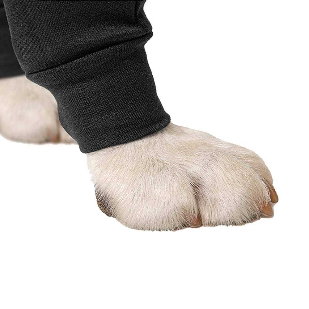 Suitical Dog Recovery Double Sleeves - Healthber