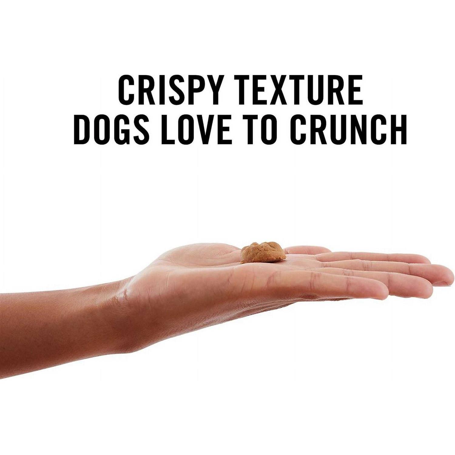 American Journey Peanut Butter Recipe Grain-Free Oven Baked Crunchy Biscuit Dog Treats - Healthber