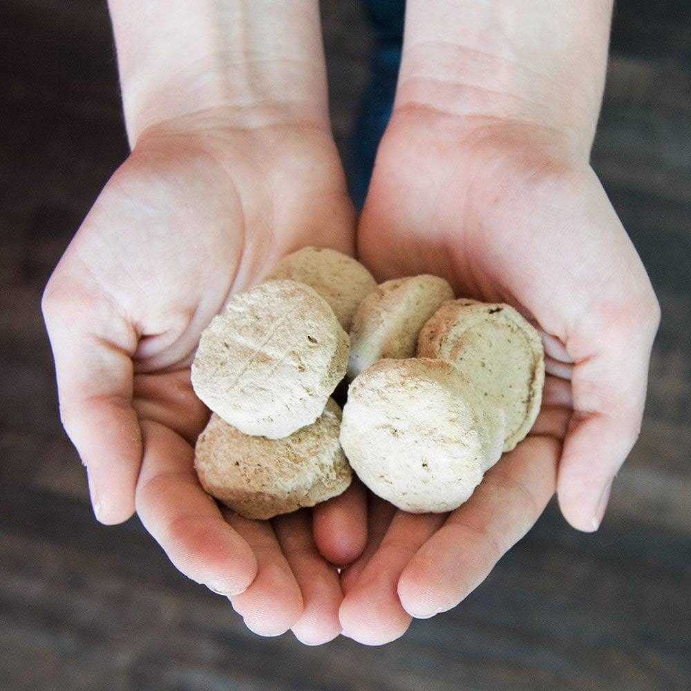 Stella & Chewy’s Perfectly Puppy Freeze-Dried Raw Dog Food Salmon Dinner Patties - Healthber