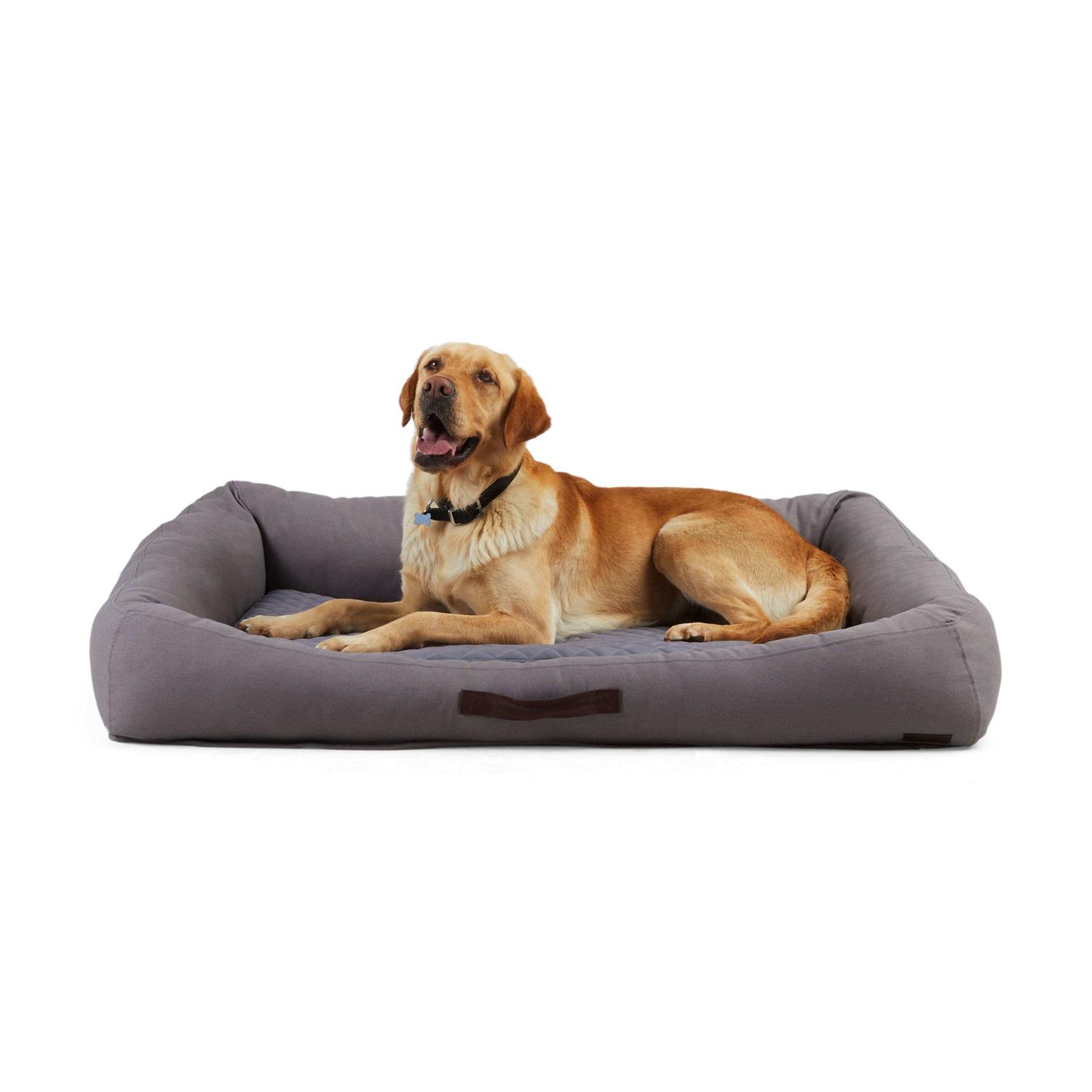 Reddy Seasonless Dog Bed - Healthber
